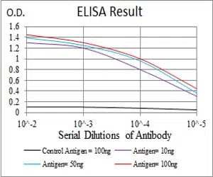 TFAP2A Mouse Monoclonal Antibody - Size: 100µl