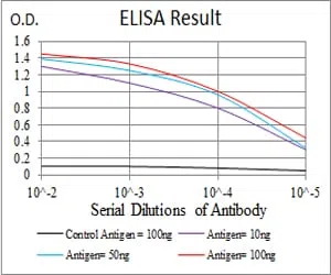 EZR Mouse Monoclonal Antibody - Size: 50µl