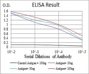 LDLR Mouse Monoclonal Antibody - Size: 100µl