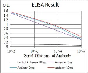 ATG5 Mouse Monoclonal Antibody - Size: 100µl
