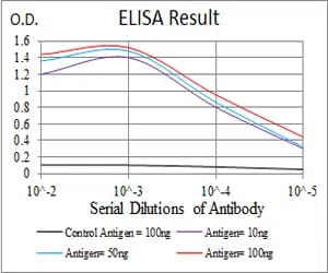 SELL Mouse Monoclonal Antibody - Size: 100µl
