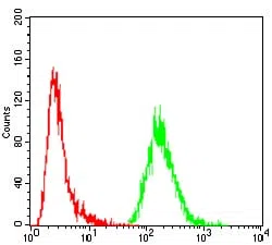 Flow cytometry - GNAS Mouse Monoclonal Antibody - AMM81466