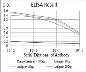 ERCC1 Mouse Monoclonal Antibody - Size: 100µl