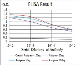 HSPB2 Mouse Monoclonal Antibody - Size: 100µl