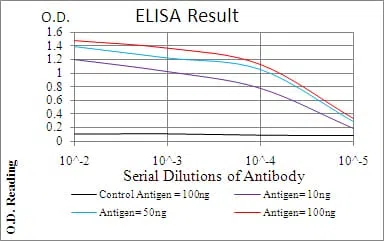 CALB2 Mouse Monoclonal Antibody - Size: 100µl