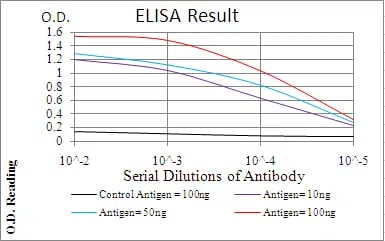 P2RY13 Mouse Monoclonal Antibody - Size: 100µl
