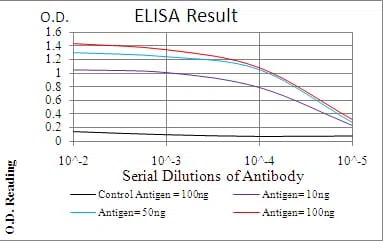CBX1 Mouse Monoclonal Antibody - Size: 100µl