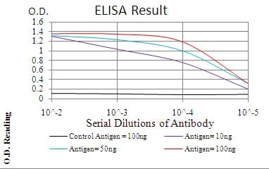 CBX1 Mouse Monoclonal Antibody - Size: 100µl