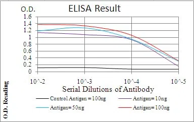 PLCG2 Mouse Monoclonal Antibody - Size: 100µl