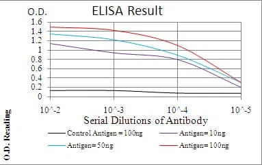 PLCG2 Mouse Monoclonal Antibody - Size: 100µl