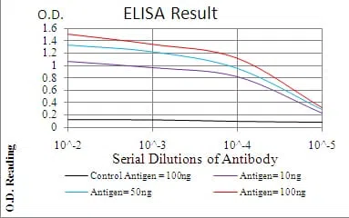 TERT Mouse Monoclonal Antibody - Size: 50µl