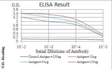 TERT Mouse Monoclonal Antibody - Size: 50µl