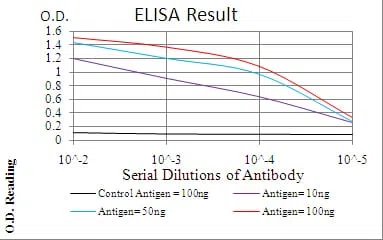 NOX4 Mouse Monoclonal Antibody - Size: 100µl