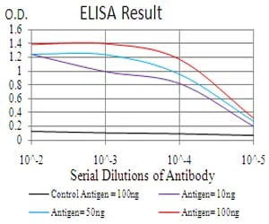 CBX4 Mouse Monoclonal Antibody - Size: 50µl