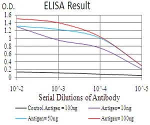 RAB11FIP1 Mouse Monoclonal Antibody - Size: 50µl
