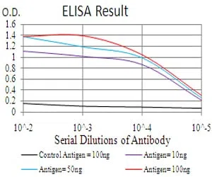 RAD18 Mouse Monoclonal Antibody - Size: 100µl