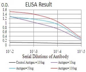 RALA Mouse Monoclonal Antibody - Size: 100µl
