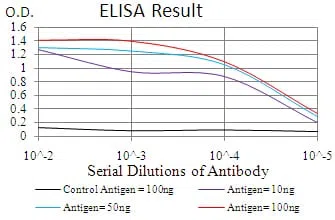 RND3 Mouse Monoclonal Antibody - Size: 50µl