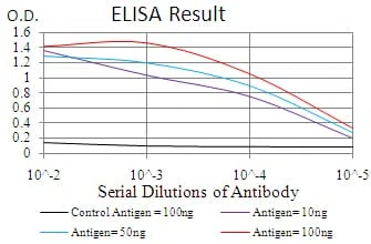 RND3 Mouse Monoclonal Antibody - Size: 100µl
