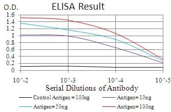 TTR Mouse Monoclonal Antibody - Size: 50µl