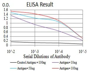 GAD2 Mouse Monoclonal Antibody - Size: 100µl