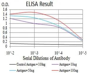ATG16L1 Mouse Monoclonal Antibody - Size: 50µl
