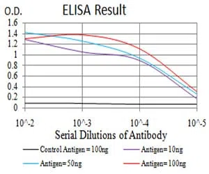 DNMT3B Mouse Monoclonal Antibody - Size: 100µl