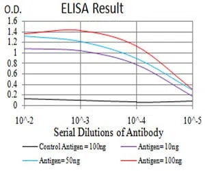 SIRT6 Mouse Monoclonal Antibody - Size: 100µl