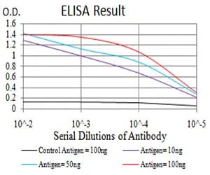RAD18 Mouse Monoclonal Antibody - Size: 50µl