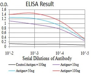 SIRT7 Mouse Monoclonal Antibody - Size: 100µl