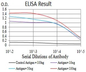 HDAC4 Mouse Monoclonal Antibody - Size: 50µl
