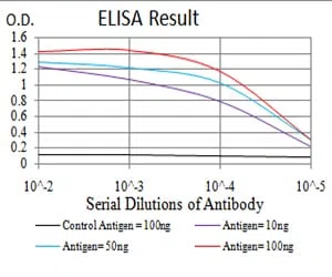 PRDM1 Mouse Monoclonal Antibody - Size: 50µl