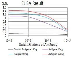 LGR5 Mouse Monoclonal Antibody - Size: 100µl