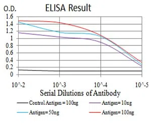 CBX2 Mouse Monoclonal Antibody - Size: 100µl
