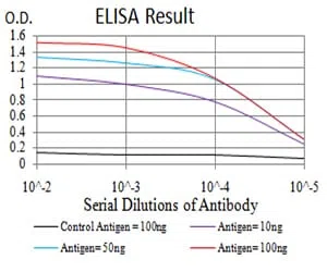 NTRK2 Mouse Monoclonal Antibody - Size: 100µl