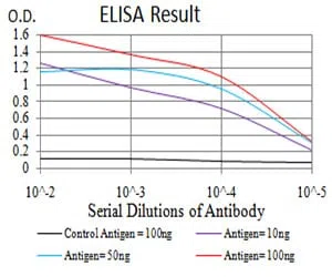 SIRT7 Mouse Monoclonal Antibody - Size: 50µl