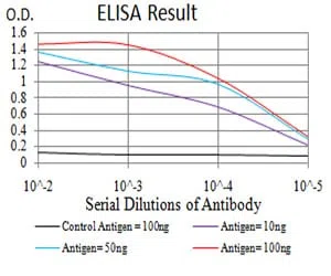 RAD23A Mouse Monoclonal Antibody - Size: 50µl