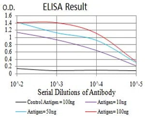 FOXM1 Mouse Monoclonal Antibody - Size: 100µl