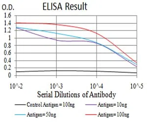 phospho-Eralpha(Tyr-537) Mouse Monoclonal Antibody - Size: 100µl