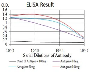CBX5 Mouse Monoclonal Antibody - Size: 50µl