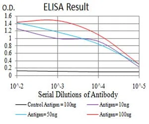 FOXP2 Mouse Monoclonal Antibody - Size: 100µl