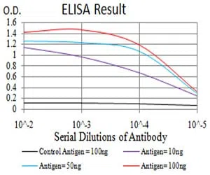 TSHB Mouse Monoclonal Antibody - Size: 50µl