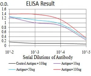 HDAC6 Mouse Monoclonal Antibody - Size: 50µl
