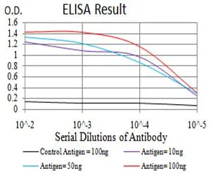 Rab1b Mouse Monoclonal Antibody - Size: 50µl