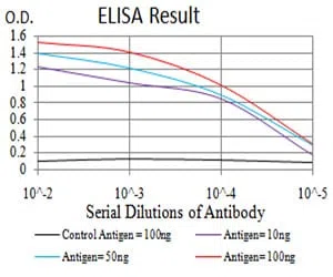 ALDH6A1 Mouse Monoclonal Antibody - Size: 50µl