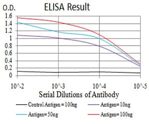 DDX5 Mouse Monoclonal Antibody - Size: 50µl
