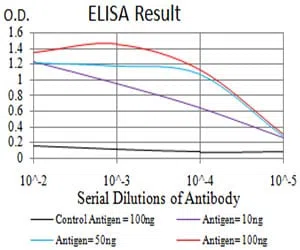 DNMT1 Mouse Monoclonal Antibody - Size: 50µl