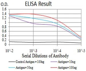 CDH11 Mouse Monoclonal Antibody - Size: 50µl
