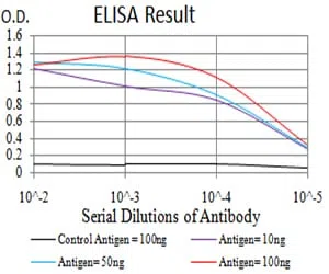 XRN2 Mouse Monoclonal Antibody - Size: 100µl