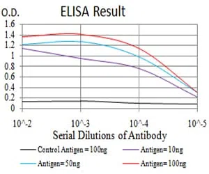 XRN2 Mouse Monoclonal Antibody - Size: 100µl